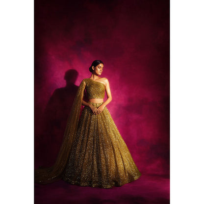 Vvani by Vani Vats Dull Gold One Shoulder Veil Blouse & Lehenga (Set of 2)