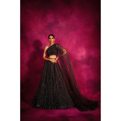 Vvani by Vani Vats Oxidised Wine One Shoulder Veil Blouse & Lehenga (Set of 2)