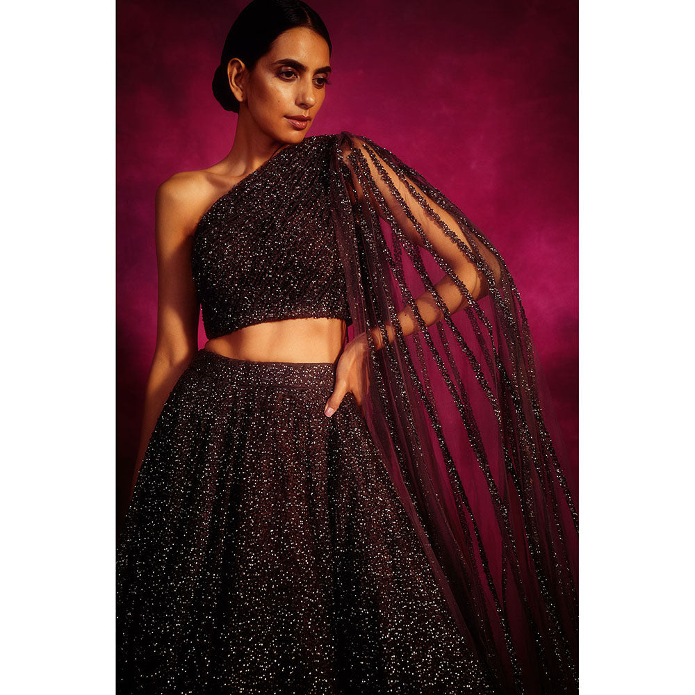 Vvani by Vani Vats Oxidised Wine One Shoulder Veil Blouse & Lehenga (Set of 2)