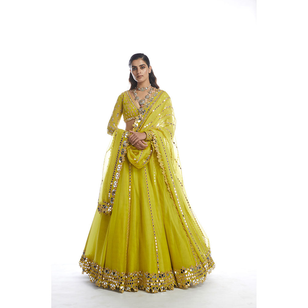 Vvani by Vani Vats Moss Green Blouse with Lehenga & Dupatta (Set of 3)