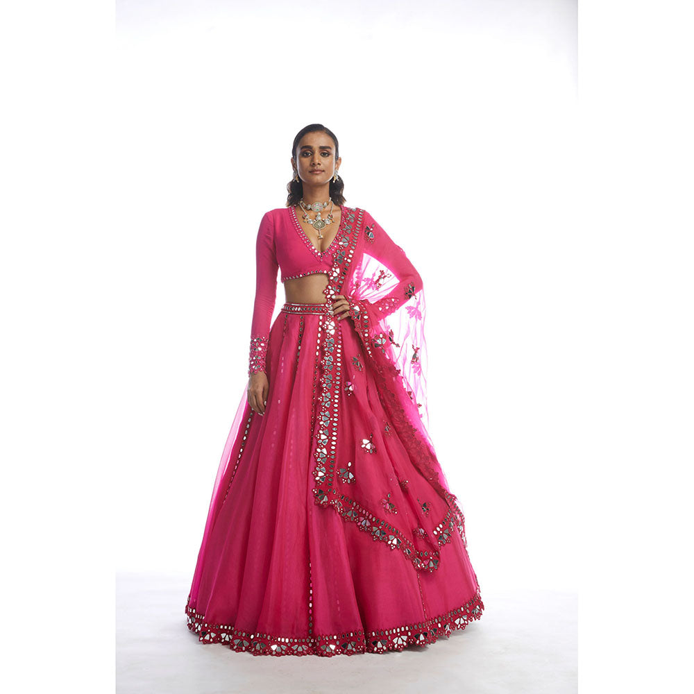 Vvani by Vani Vats Peacock Pink Mirror Cutwork Blouse with Lehenga & Dupatta (Set of 3)