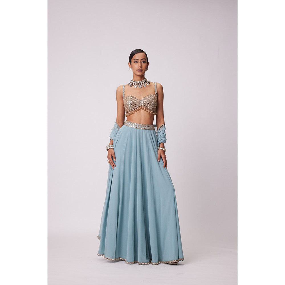 Vvani by Vani Vats Blue Mirror Flared Palazzo with Blouse and Dupatta (Set of 3)