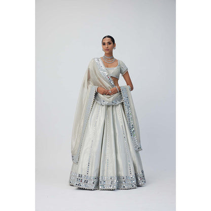 Vvani by Vani Vats Silver Shimmer Organza Linear Lehenga with Blouse and Dupatta (Set of 3)