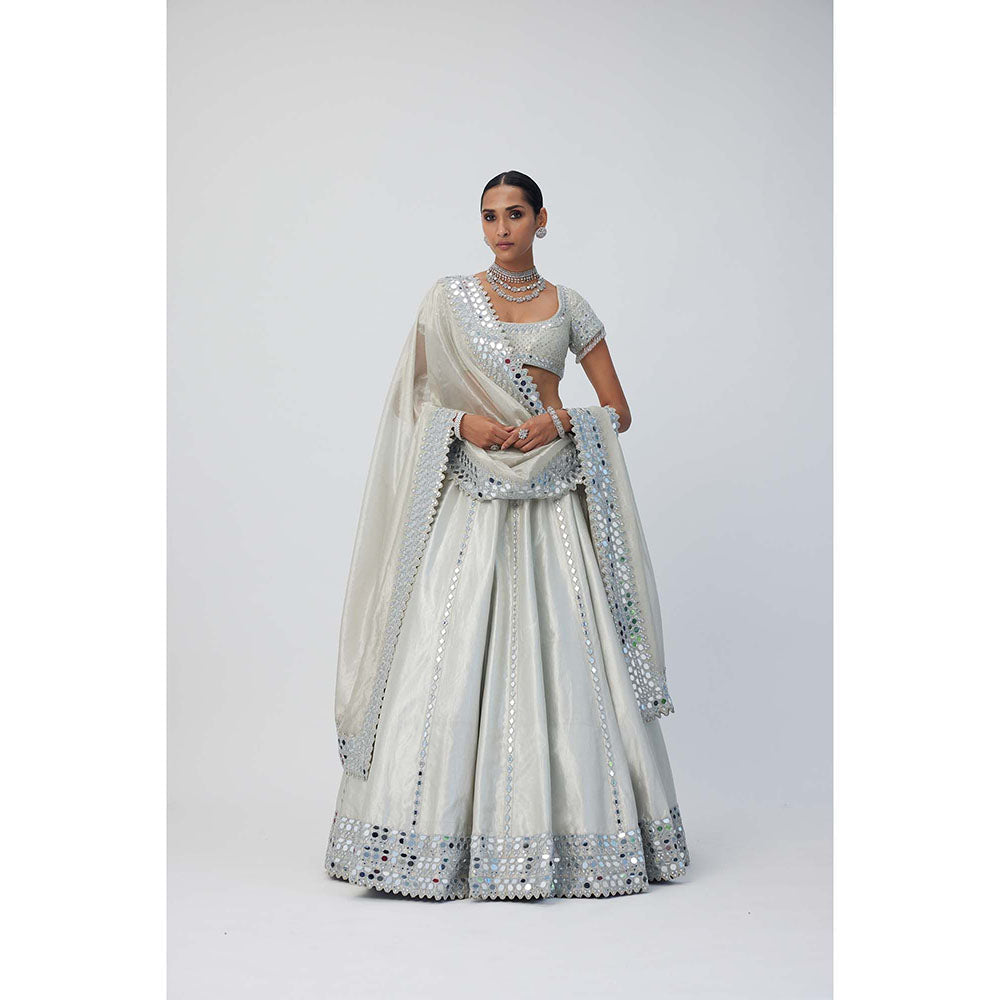 Vvani by Vani Vats Silver Shimmer Organza Linear Lehenga with Blouse and Dupatta (Set of 3)
