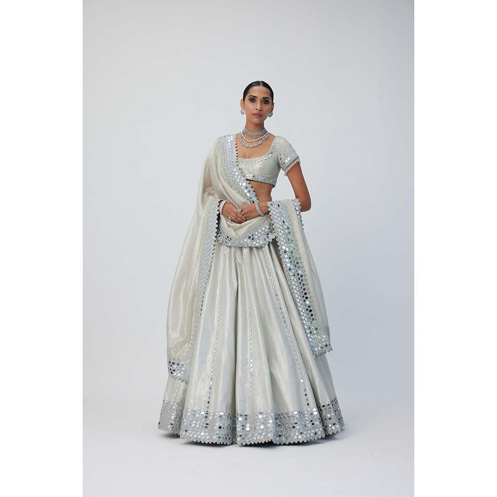 Vvani by Vani Vats Silver Shimmer Organza Linear Lehenga with Blouse and Dupatta (Set of 3)