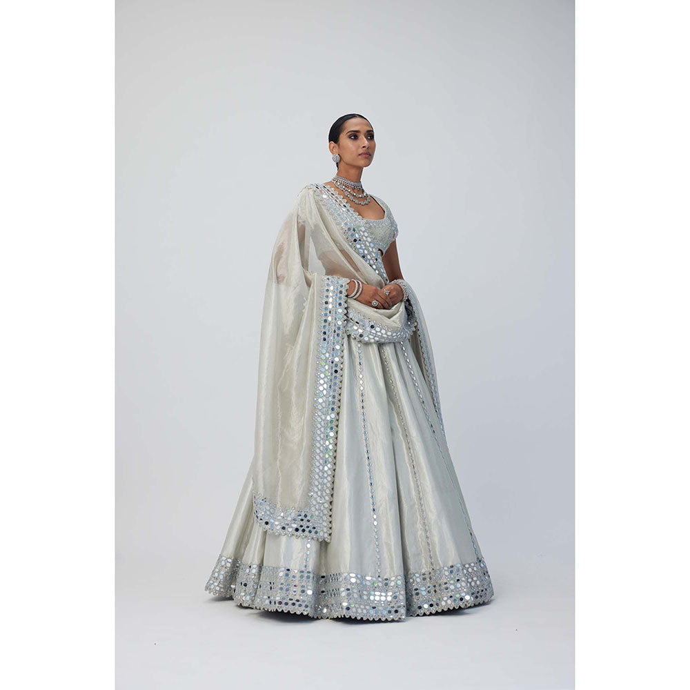 Vvani by Vani Vats Silver Shimmer Organza Linear Lehenga with Blouse and Dupatta (Set of 3)