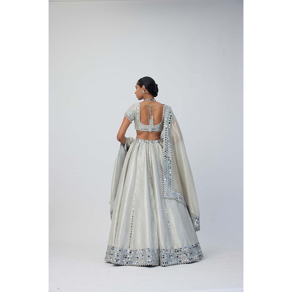 Vvani by Vani Vats Silver Shimmer Organza Linear Lehenga with Blouse and Dupatta (Set of 3)