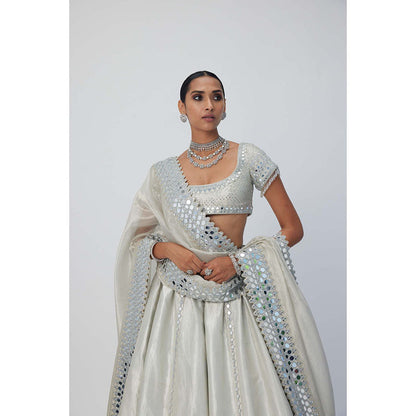 Vvani by Vani Vats Silver Shimmer Organza Linear Lehenga with Blouse and Dupatta (Set of 3)