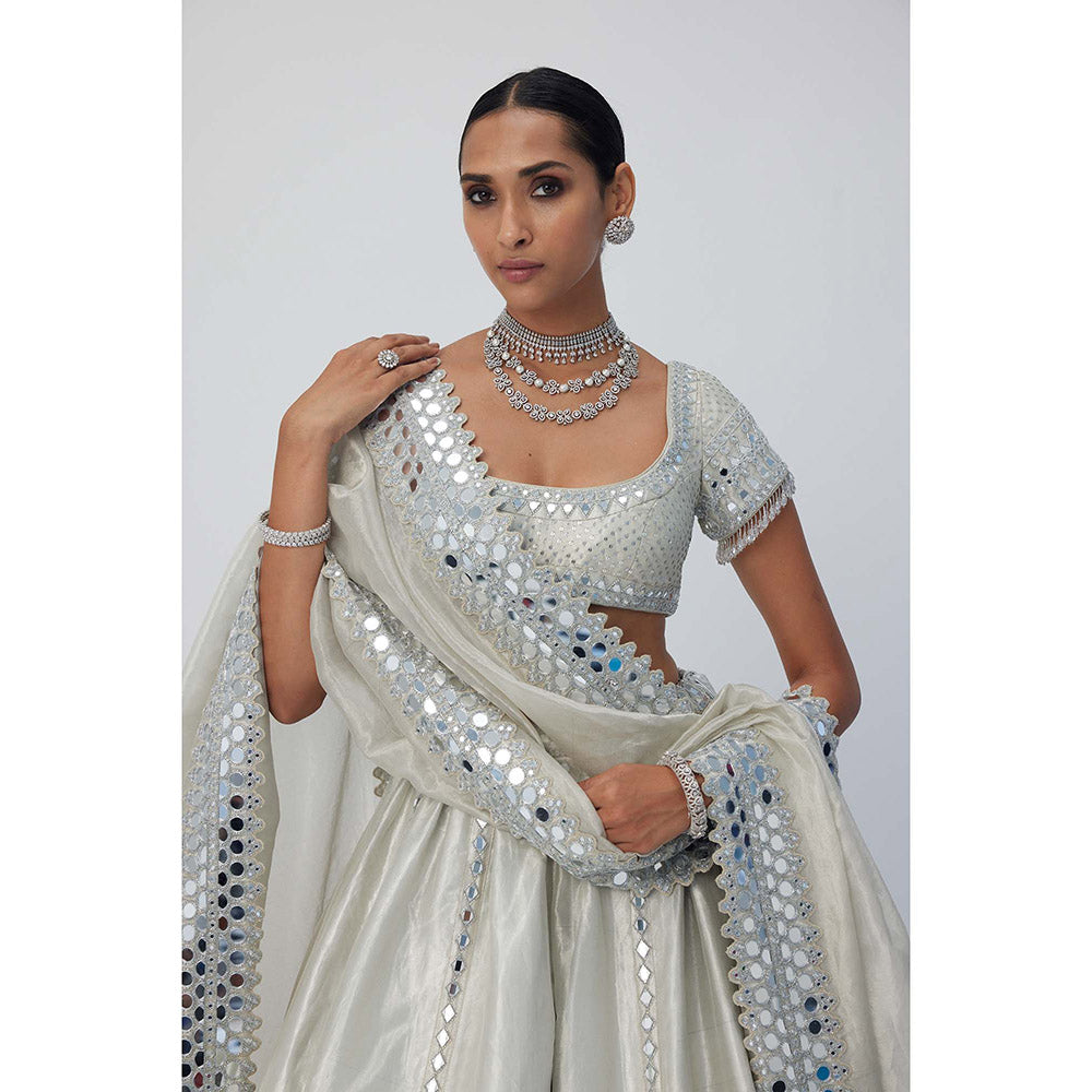 Vvani by Vani Vats Silver Shimmer Organza Linear Lehenga with Blouse and Dupatta (Set of 3)