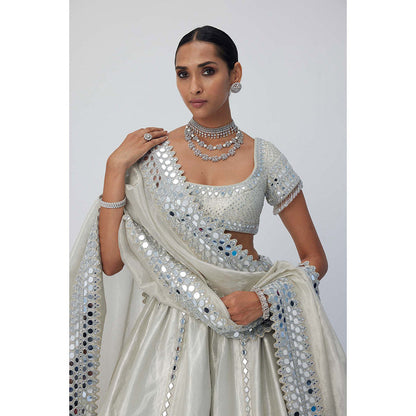 Vvani by Vani Vats Silver Shimmer Organza Linear Lehenga with Blouse and Dupatta (Set of 3)
