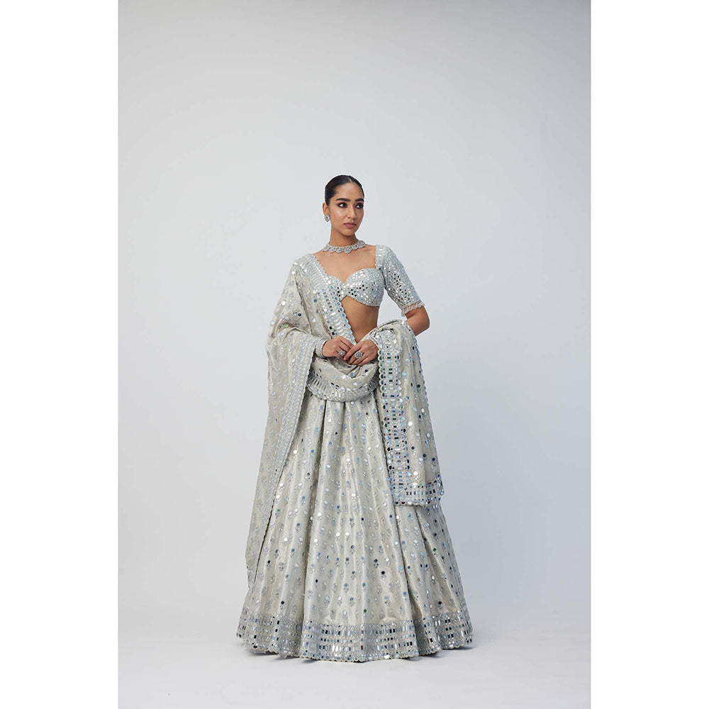 Vvani by Vani Vats Silver Shimmer Organza Lehenga with Blouse and Dupatta (Set of 3)
