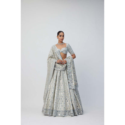 Vvani by Vani Vats Silver Shimmer Organza Lehenga with Blouse and Dupatta (Set of 3)