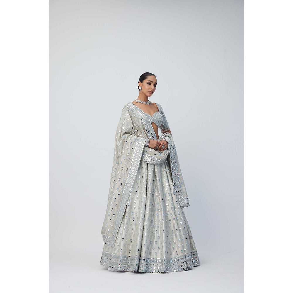 Vvani by Vani Vats Silver Shimmer Organza Lehenga with Blouse and Dupatta (Set of 3)
