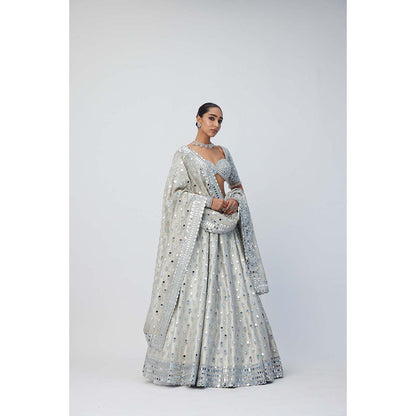 Vvani by Vani Vats Silver Shimmer Organza Lehenga with Blouse and Dupatta (Set of 3)