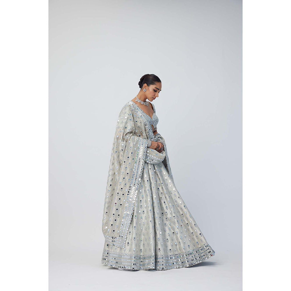 Vvani by Vani Vats Silver Shimmer Organza Lehenga with Blouse and Dupatta (Set of 3)