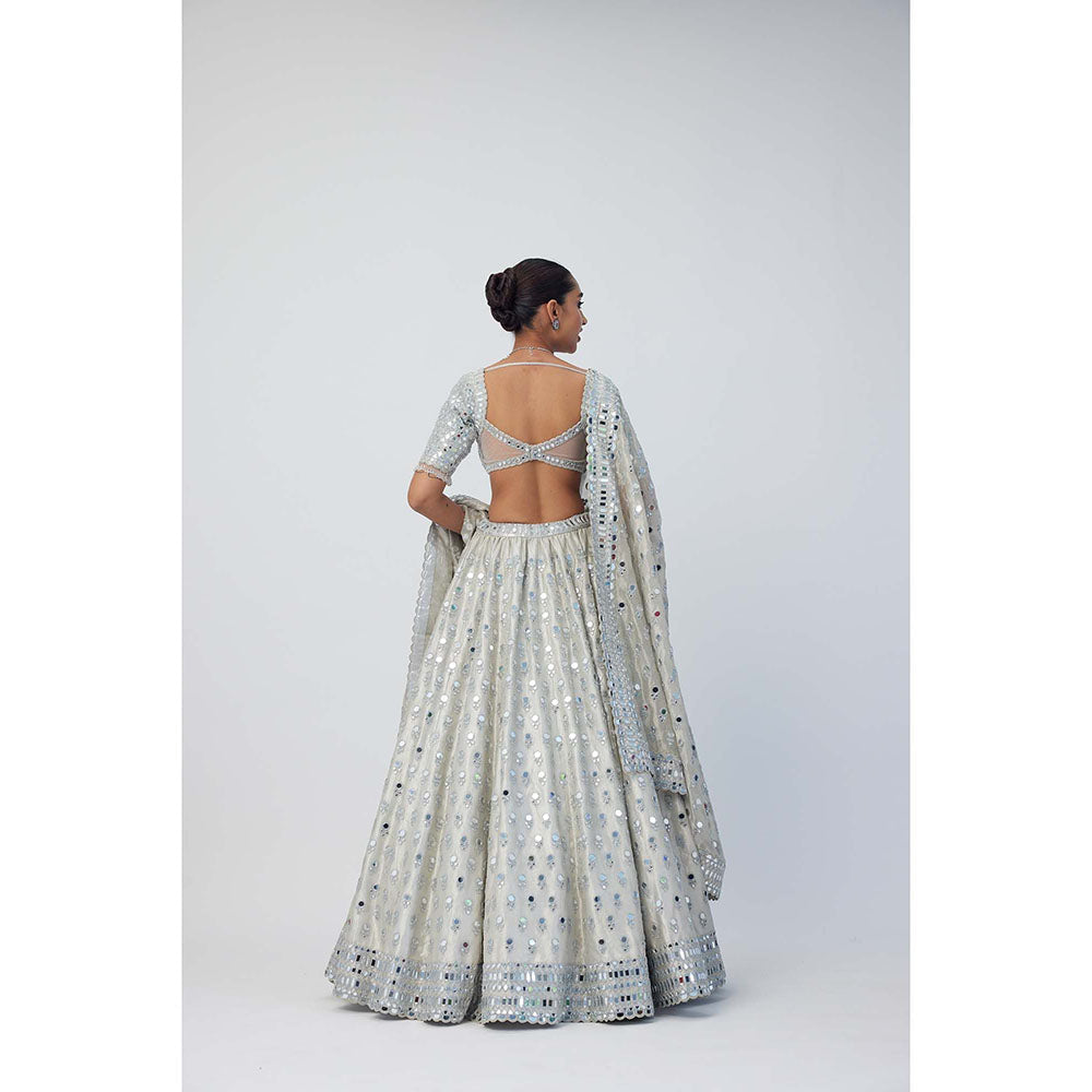 Vvani by Vani Vats Silver Shimmer Organza Lehenga with Blouse and Dupatta (Set of 3)