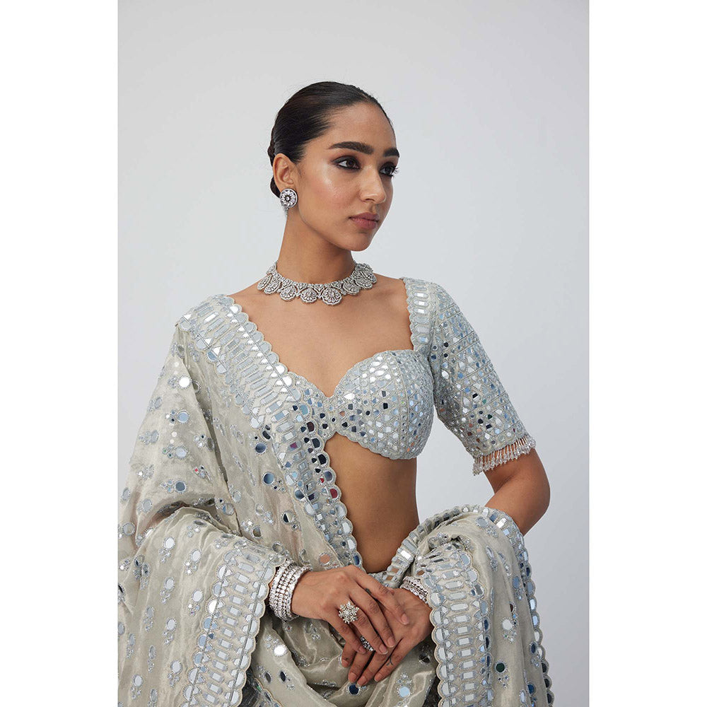 Vvani by Vani Vats Silver Shimmer Organza Lehenga with Blouse and Dupatta (Set of 3)