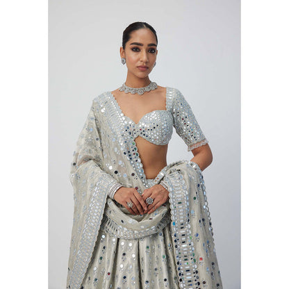 Vvani by Vani Vats Silver Shimmer Organza Lehenga with Blouse and Dupatta (Set of 3)