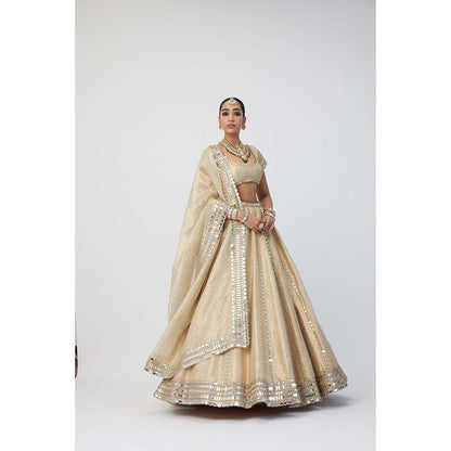 Vvani by Vani Vats Beige Shimmer Organza Linear Lehenga with Blouse and Dupatta (Set of 3)