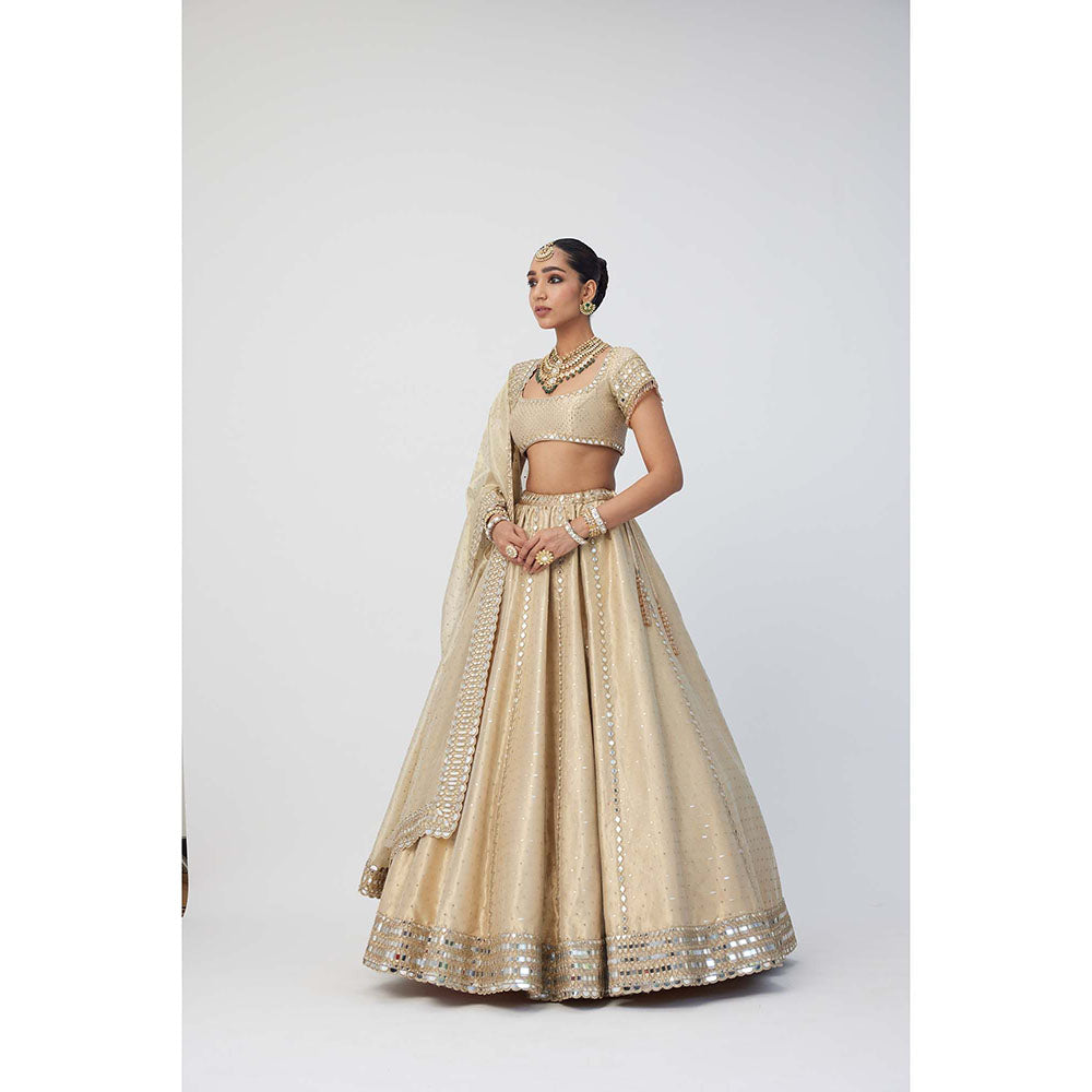 Vvani by Vani Vats Beige Shimmer Organza Linear Lehenga with Blouse and Dupatta (Set of 3)