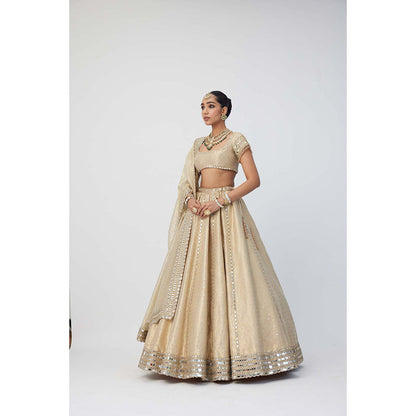 Vvani by Vani Vats Beige Shimmer Organza Linear Lehenga with Blouse and Dupatta (Set of 3)