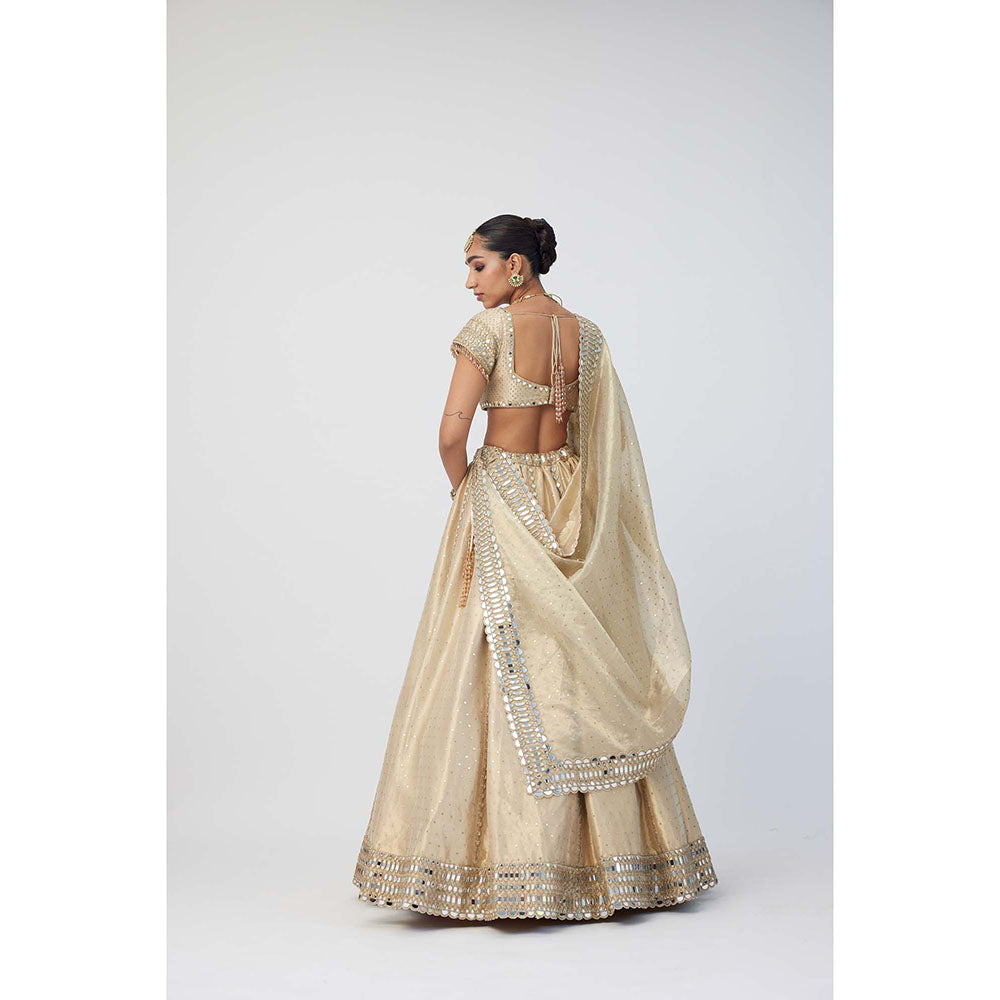 Vvani by Vani Vats Beige Shimmer Organza Linear Lehenga with Blouse and Dupatta (Set of 3)