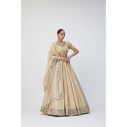 Vvani by Vani Vats Beige Shimmer Organza Linear Lehenga with Blouse and Dupatta (Set of 3)
