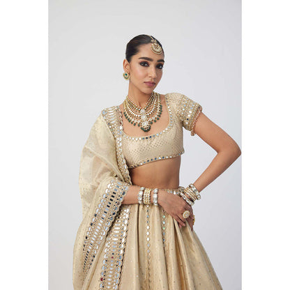 Vvani by Vani Vats Beige Shimmer Organza Linear Lehenga with Blouse and Dupatta (Set of 3)