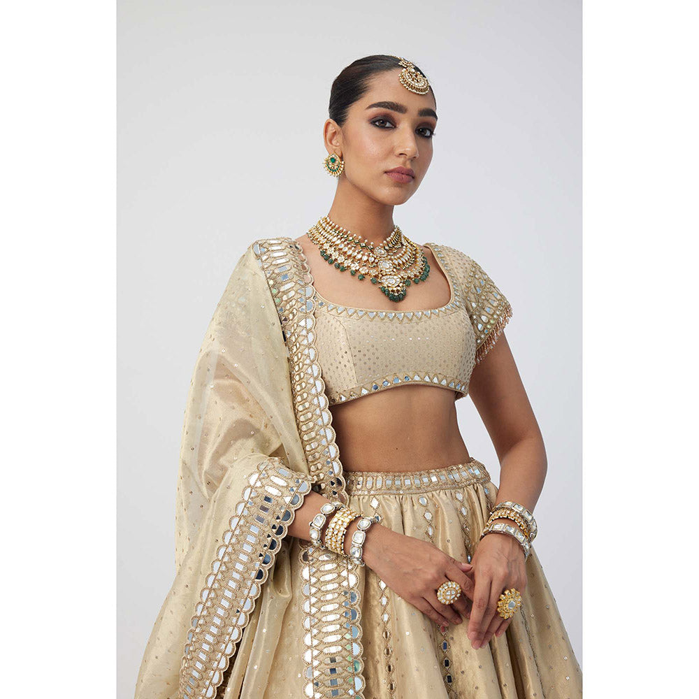 Vvani by Vani Vats Beige Shimmer Organza Linear Lehenga with Blouse and Dupatta (Set of 3)