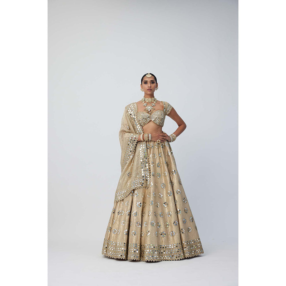 Vvani by Vani Vats Beige Shimmer Organza Flower Lehenga with Blouse and Dupatta (Set of 3)