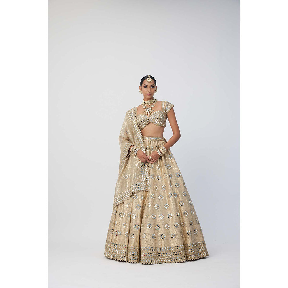 Vvani by Vani Vats Beige Shimmer Organza Flower Lehenga with Blouse and Dupatta (Set of 3)