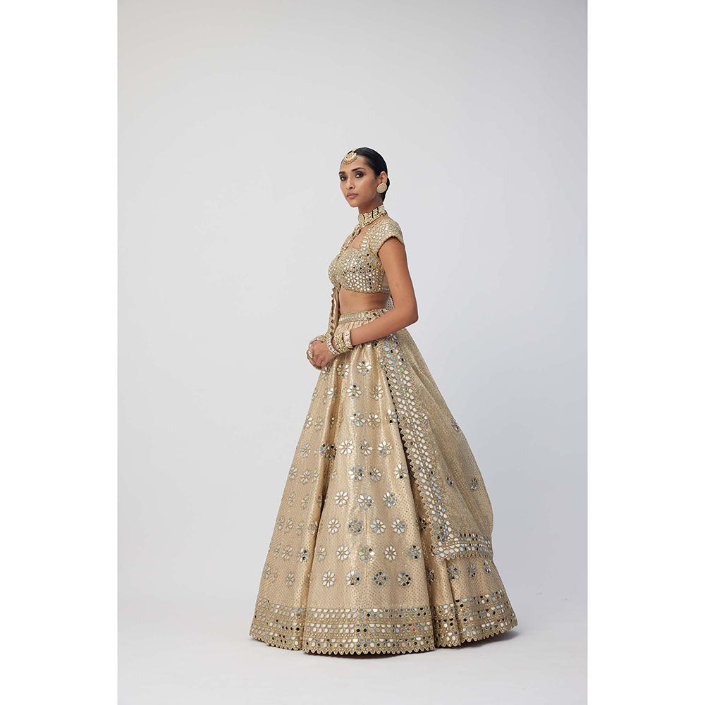Vvani by Vani Vats Beige Shimmer Organza Flower Lehenga with Blouse and Dupatta (Set of 3)