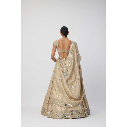 Vvani by Vani Vats Beige Shimmer Organza Flower Lehenga with Blouse and Dupatta (Set of 3)