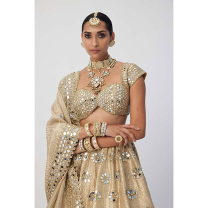 Vvani by Vani Vats Beige Shimmer Organza Flower Lehenga with Blouse and Dupatta (Set of 3)