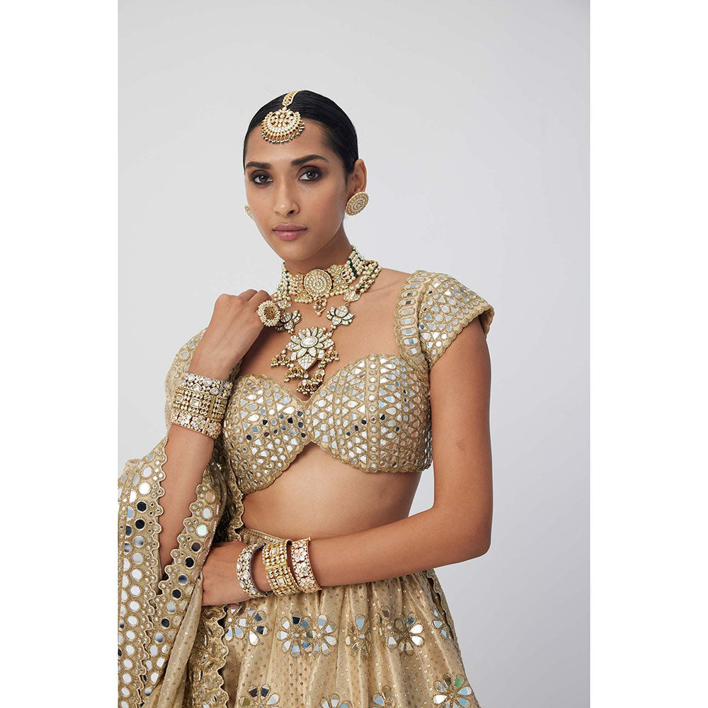 Vvani by Vani Vats Beige Shimmer Organza Flower Lehenga with Blouse and Dupatta (Set of 3)