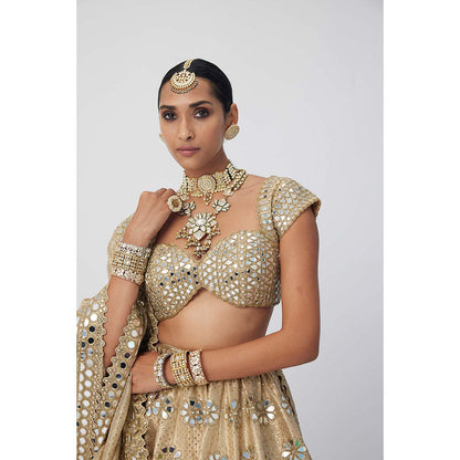 Vvani by Vani Vats Beige Shimmer Organza Flower Lehenga with Blouse and Dupatta (Set of 3)