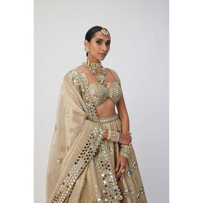 Vvani by Vani Vats Beige Shimmer Organza Flower Lehenga with Blouse and Dupatta (Set of 3)