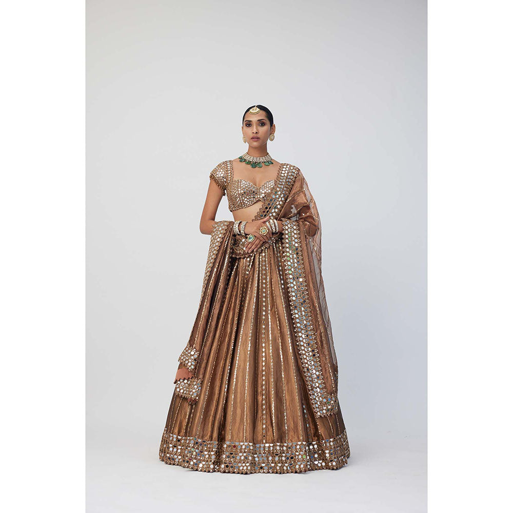 Vvani by Vani Vats Copper Shimmer Organza Linear Lehenga with Blouse and Dupatta (Set of 3)