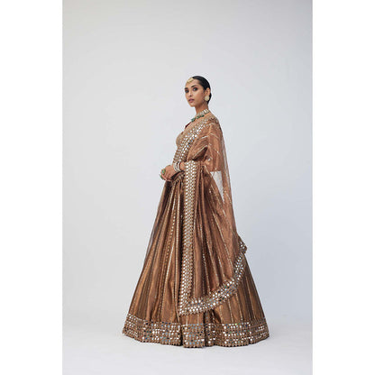 Vvani by Vani Vats Copper Shimmer Organza Linear Lehenga with Blouse and Dupatta (Set of 3)