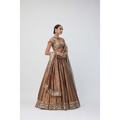 Vvani by Vani Vats Copper Shimmer Organza Linear Lehenga with Blouse and Dupatta (Set of 3)