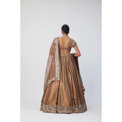 Vvani by Vani Vats Copper Shimmer Organza Linear Lehenga with Blouse and Dupatta (Set of 3)