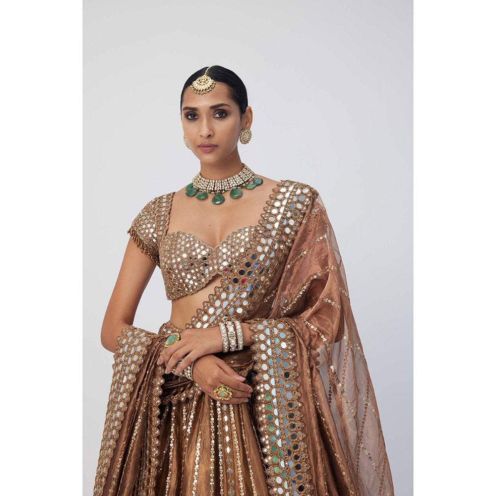 Vvani by Vani Vats Copper Shimmer Organza Linear Lehenga with Blouse and Dupatta (Set of 3)