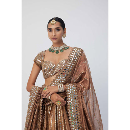 Vvani by Vani Vats Copper Shimmer Organza Linear Lehenga with Blouse and Dupatta (Set of 3)