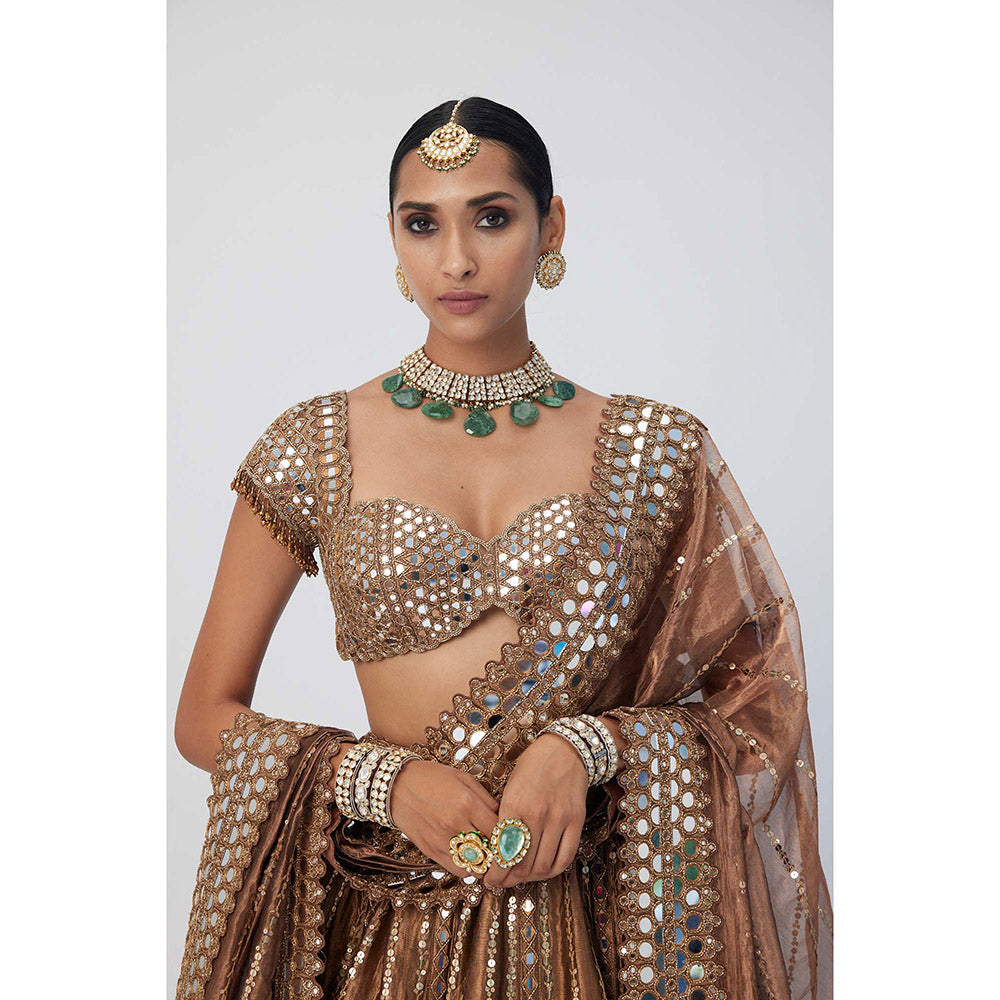 Vvani by Vani Vats Copper Shimmer Organza Linear Lehenga with Blouse and Dupatta (Set of 3)