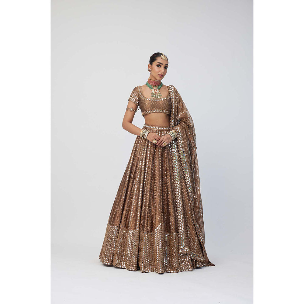 Vvani by Vani Vats Copper Shimmer Organza Sequins Lehenga with Blouse and Dupatta (Set of 3)