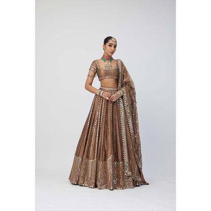 Vvani by Vani Vats Copper Shimmer Organza Sequins Lehenga with Blouse and Dupatta (Set of 3)