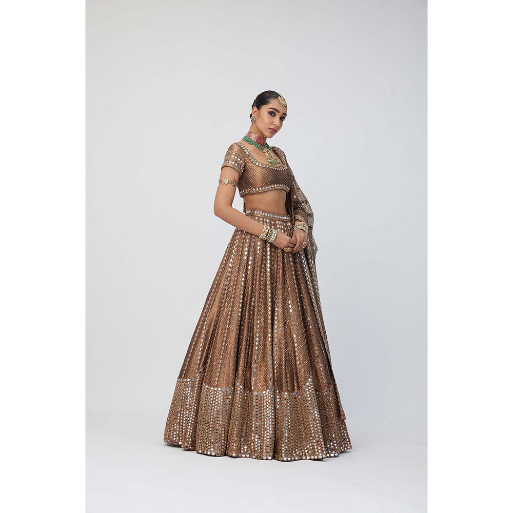 Vvani by Vani Vats Copper Shimmer Organza Sequins Lehenga with Blouse and Dupatta (Set of 3)