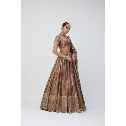 Vvani by Vani Vats Copper Shimmer Organza Sequins Lehenga with Blouse and Dupatta (Set of 3)