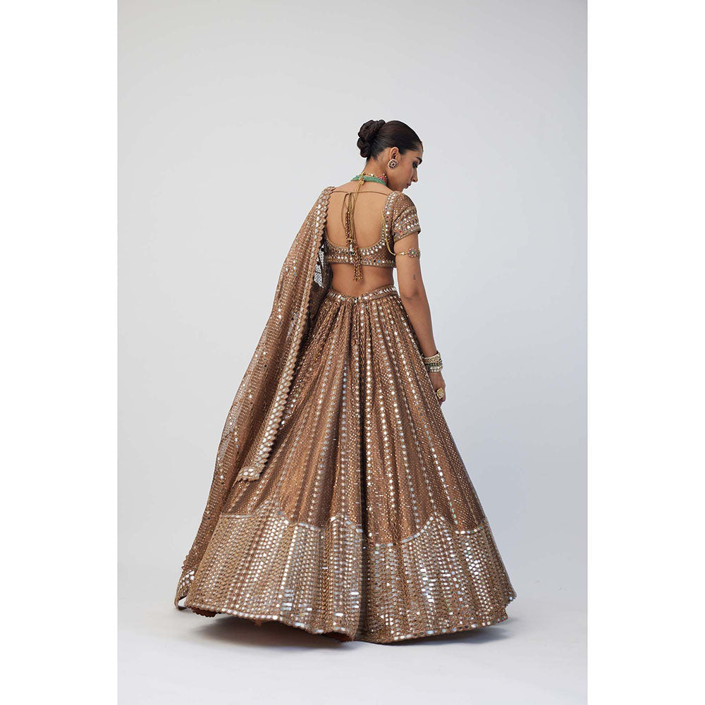 Vvani by Vani Vats Copper Shimmer Organza Sequins Lehenga with Blouse and Dupatta (Set of 3)