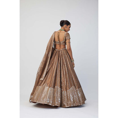 Vvani by Vani Vats Copper Shimmer Organza Sequins Lehenga with Blouse and Dupatta (Set of 3)